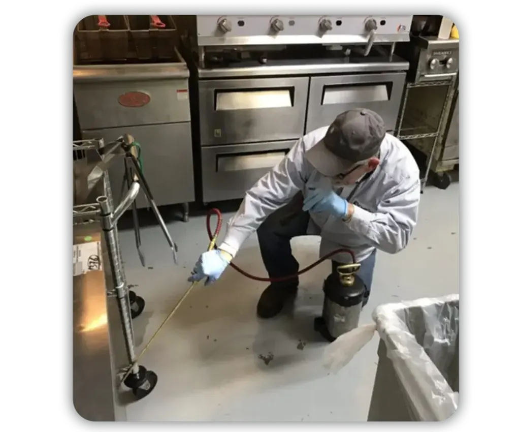 Commercial-Pest-Control
