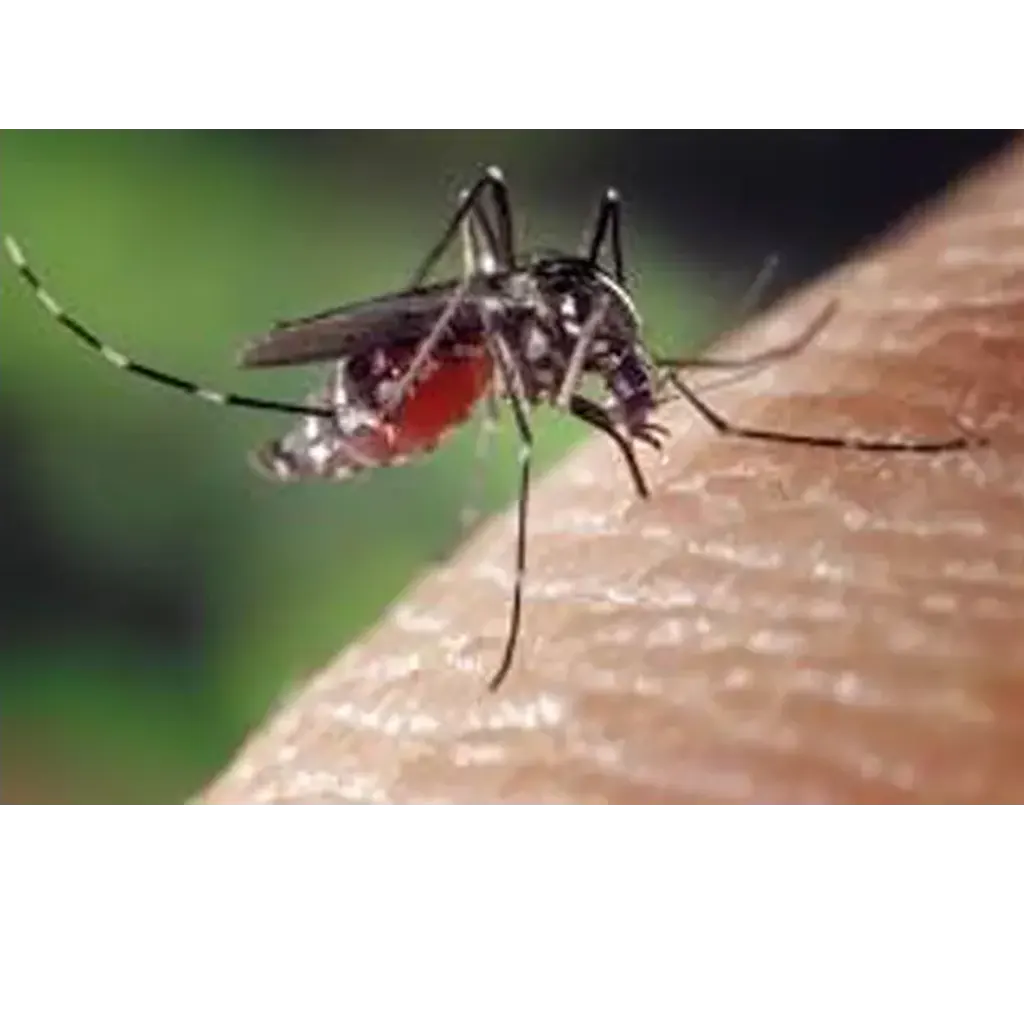 Mosquitoes-Control