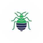 Bedbug-Control