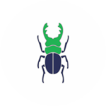 Beetles