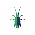 Cockroach-Control
