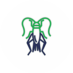 Cricket-Control