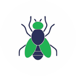 Fruit-Flies