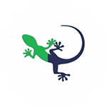 Lizards-Control