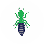 Termite-Control