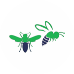 Wasps-Control