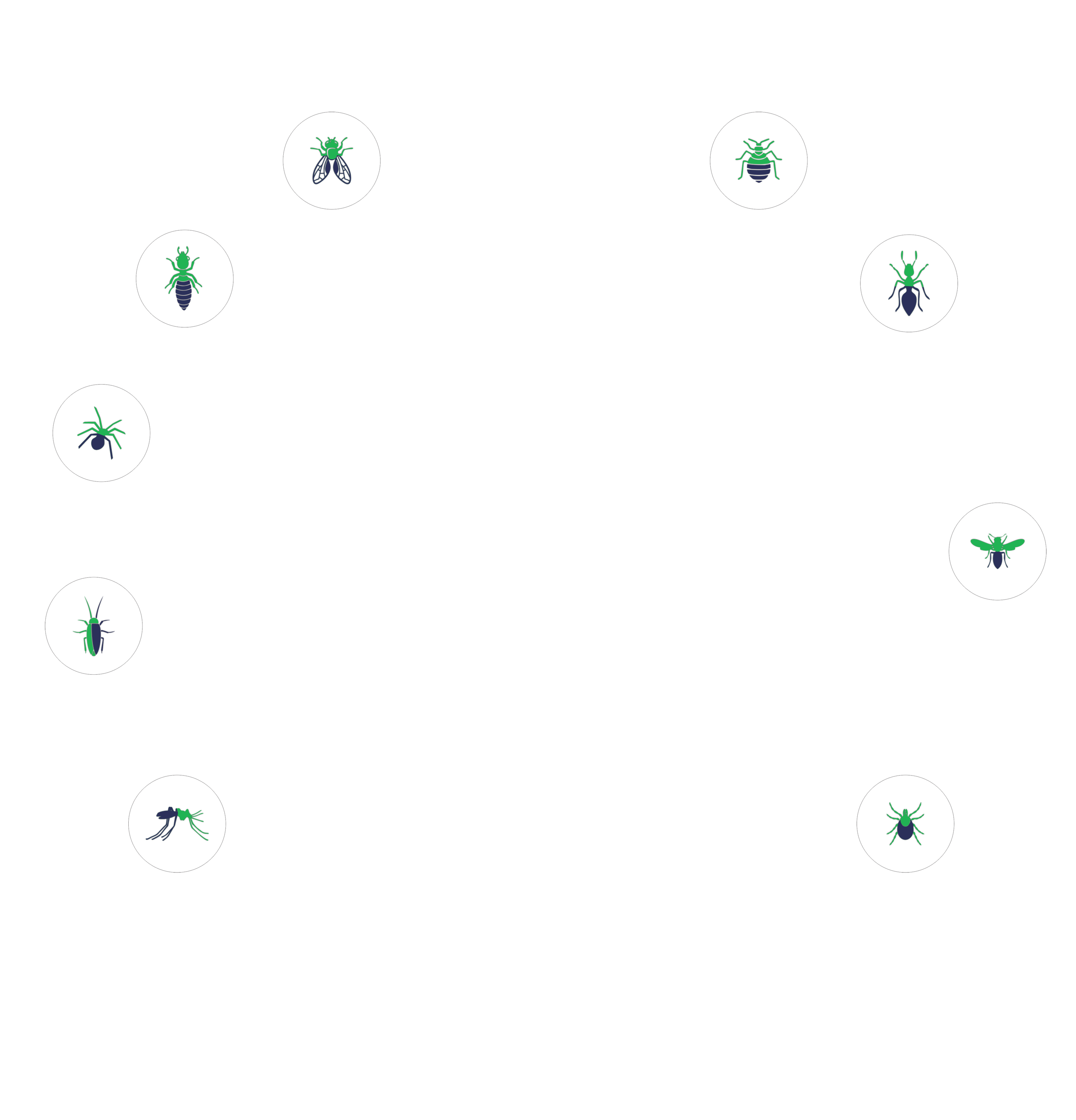 insects-1